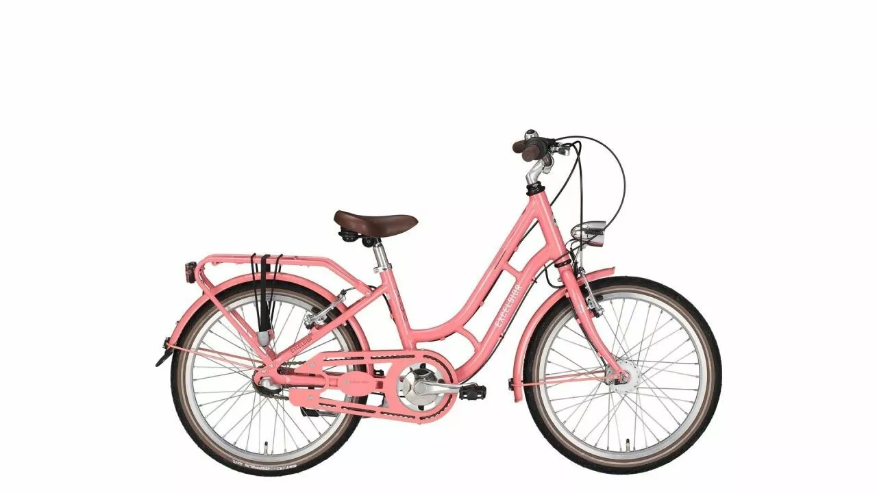 EXCELSIOR Swan-Retro Alu Kinder, 24 (2020) 3 EXCELSIOR Swan-Retro Alu Kinder, 24 (2020)