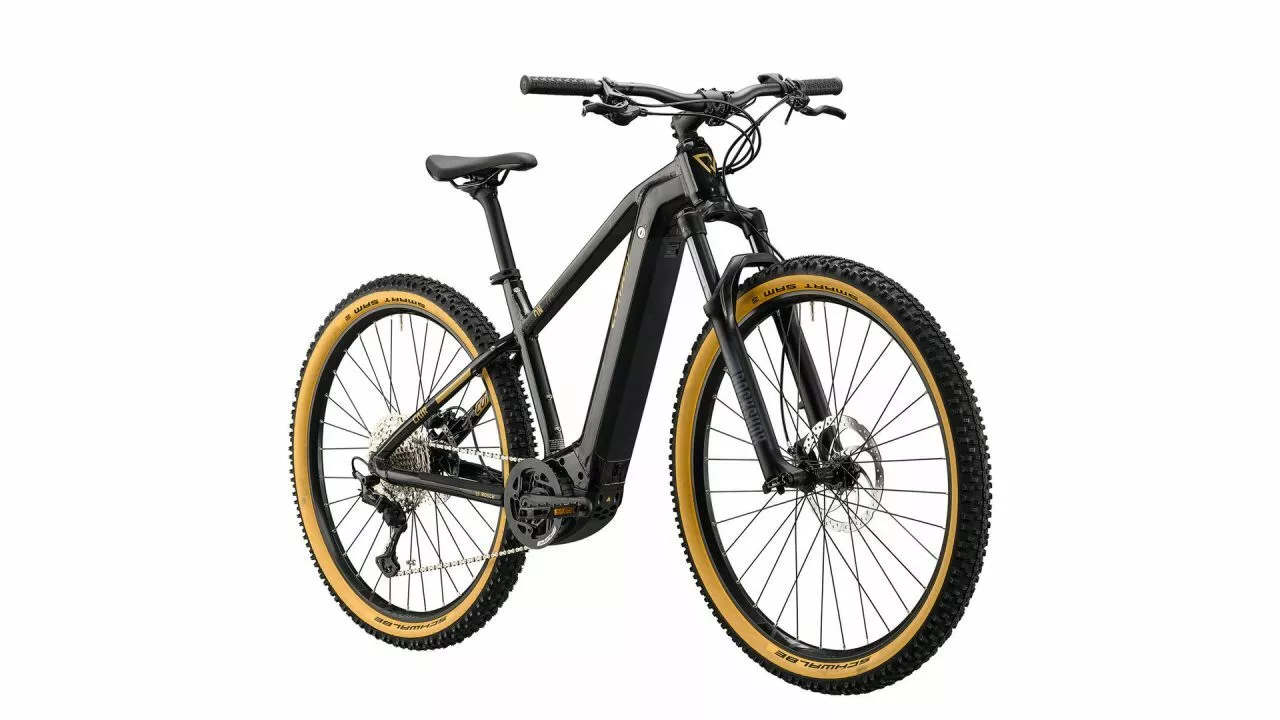 Conway Cairon S 729 Hardtail, 29 (2021) 4 Conway Cairon S 729 Hardtail, 29 (2021) – Bild 2