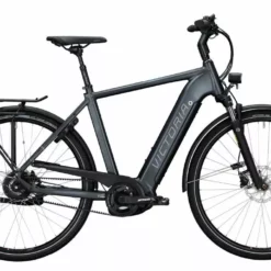 Victoria ETrekking 11.9 Herren, 28, Diamant (2020)