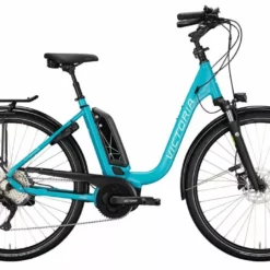 Victoria ETrekking 6.5 Deep (2021)