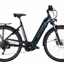 Victoria ETrekking 12.9 Wave (2021)