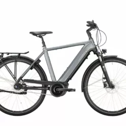 Victoria ETrekking 11.3 Herren, 28, Diamant (2022)