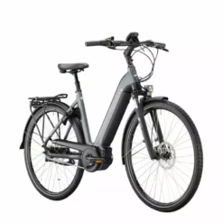 Fahrradladen 35 Fahrradladen -Fahrradladen 02976439 Victoria Elektro Trekkingrad eTrekking 11 3 2 jpg 1280x1280 1